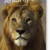 Afrikas Dyreliv