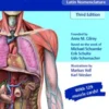 Anatomy Flash Cards: Anatomy On The Go