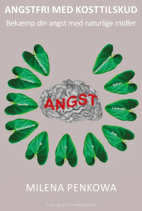 Angstfri Med Kosttilskud