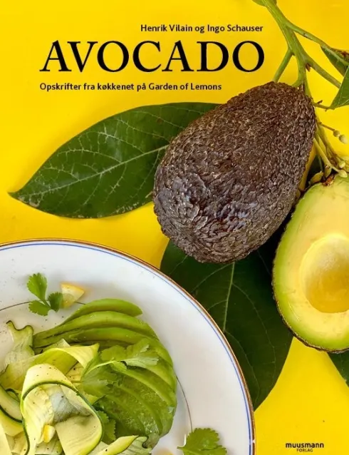 Avocado