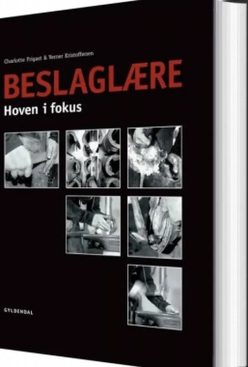 Beslaglære