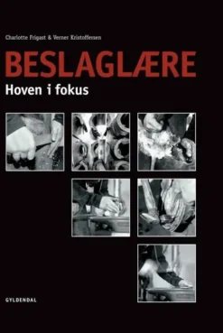Beslaglære