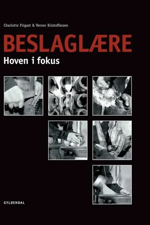 Beslaglære