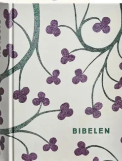 Bibelen Med Apokryfer