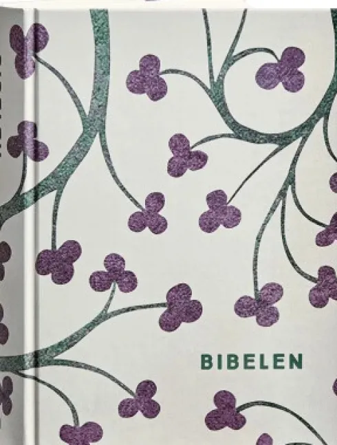 Bibelen Med Apokryfer