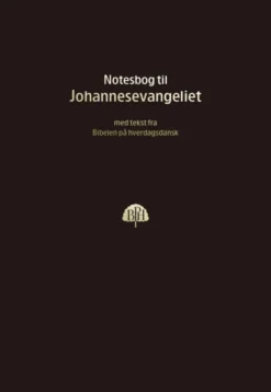 Bibelnotesbog 4, Johannesevangeliet