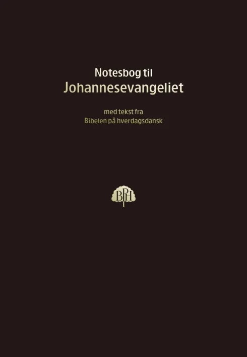 Bibelnotesbog 4, Johannesevangeliet