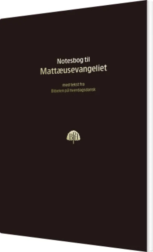 Bibelnotesbog 1, Matthæusevangeliet