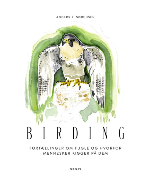 Birding