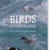 Birds Of Greenland