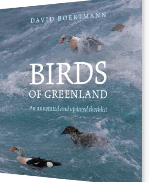 Birds Of Greenland