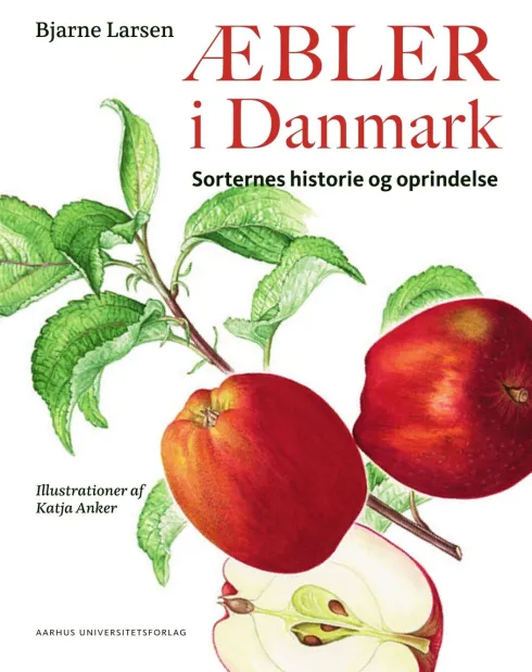 Æbler I Danmark