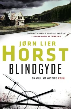 Blindgyde