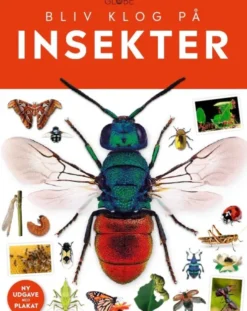 Bliv Klog På Insekter