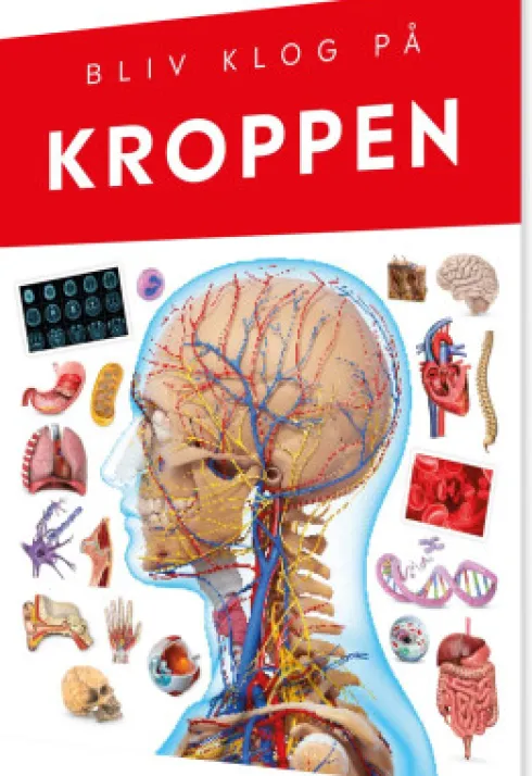 Bliv Klog På Kroppen