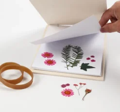 Blomsterpresser - D 1 CM - L 21 CM - B 14,8 CM - 1 Stk