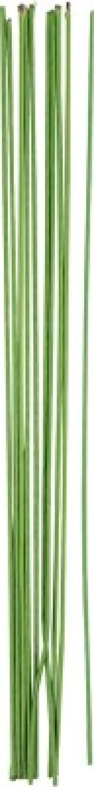 Blomsterstængel - L 30 CM - Ø 2 MM - Grøn - 20 Stk