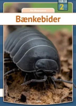 Bænkebider