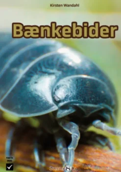 Bænkebider