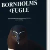 Bornholms Fugle