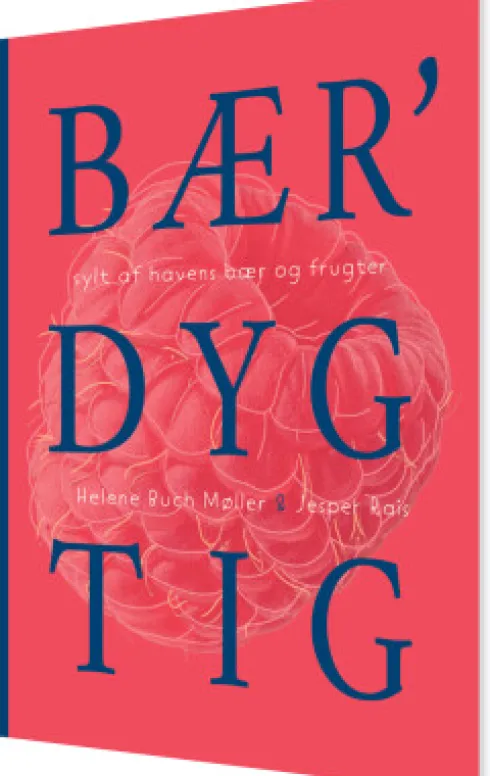 Bærdygtig