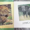 Brevpapir Africa 10 Ark + 5 Konv - Rheita