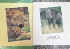 Brevpapir Africa 10 Ark + 5 Konv - Rheita