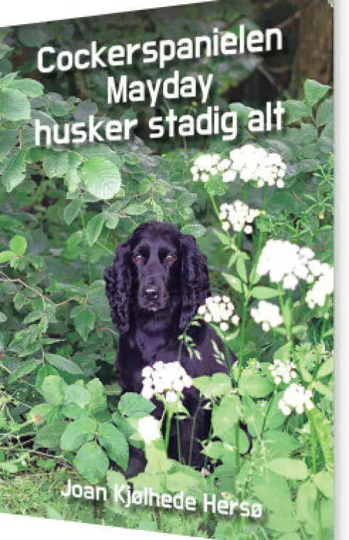 Cockerspanielen Mayday Husker Stadig Alt