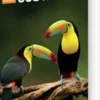 Costa Rica - Rough Guides