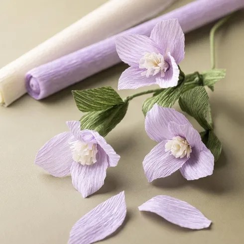 Crepepapir Til DIY Blomster - 8 Farver