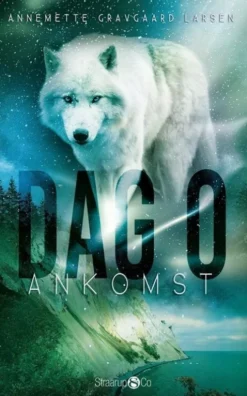 Dag 0 - Ankomst