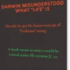 Darwin Misunderstood What "Life" Is