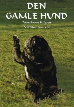 Den Gamle Hund