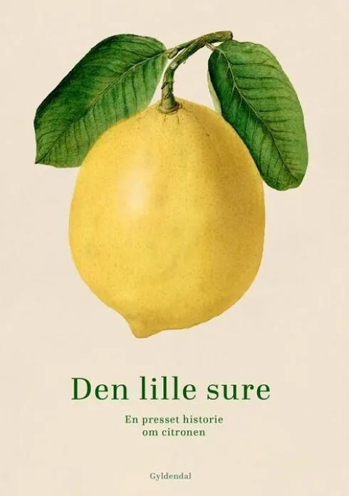 Den Lille Sure