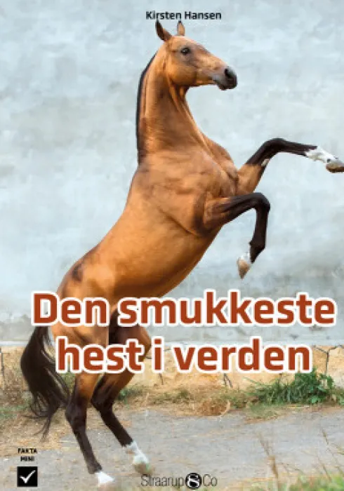 Den Smukkeste Hest I Verden