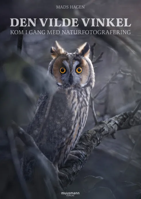 Den Vilde Vinkel