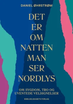Det Er Om Natten Man Ser Nordlys