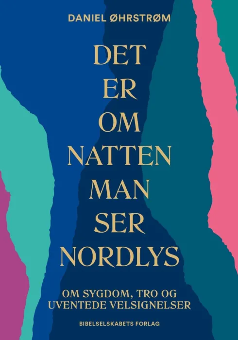 Det Er Om Natten Man Ser Nordlys