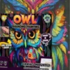 Diamond Art Painting Kit På Lærred - 30X40 CM - Ugle - Splat