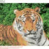 Diamond Painting - 30X40 CM - Tiger