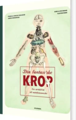 Din Fantastiske Krop - Fra Urtidsfisk Til Nutidsmenneske