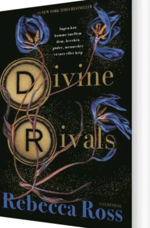 Divine Rivals