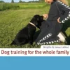 Dog Training For The Whole Family