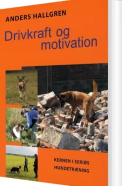 Drivkraft Og Motivation
