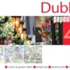 Dublin Popout Map