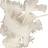 Dun - L 7-8 CM - Hvid - 50 G