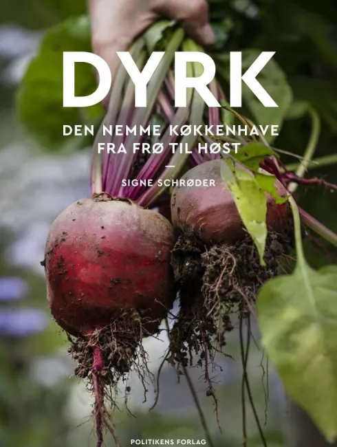Dyrk