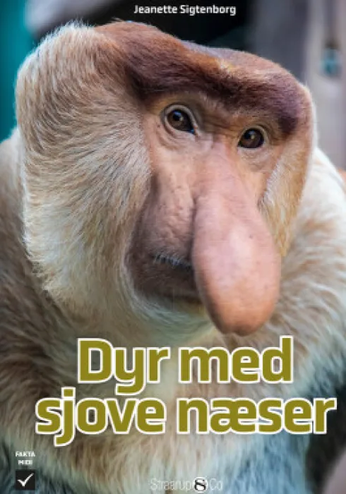 Dyr Med Sjove Næser