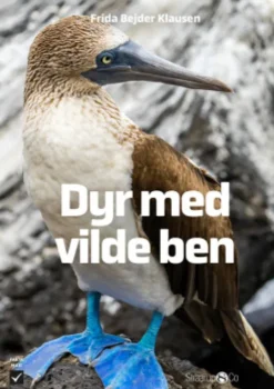 Dyr Med Vilde Ben
