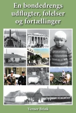 En Bondedrengs Udflugter, Følelser Og Fortællinger